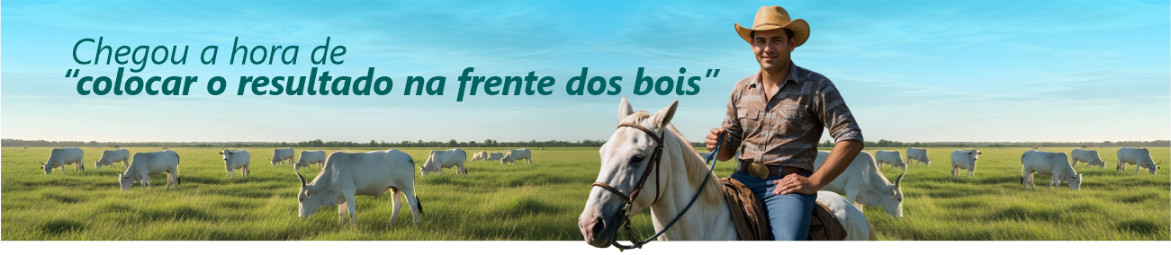 Produtor a cavalo com rebanho a pasto