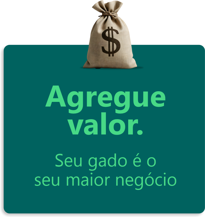 Agregue valor — seu gado é o seu maior negócio